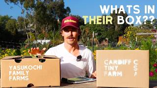 Farm Box Overview: Yasukochi Family Farms