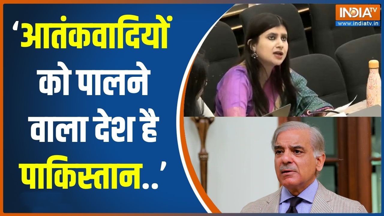 India on Pakistan in UN: Indus Water Treaty और Kashmir मुद्दे पर भारत ने पाक को जमकर ल?