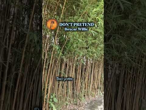 Dont Pretend - Boxcar Willie