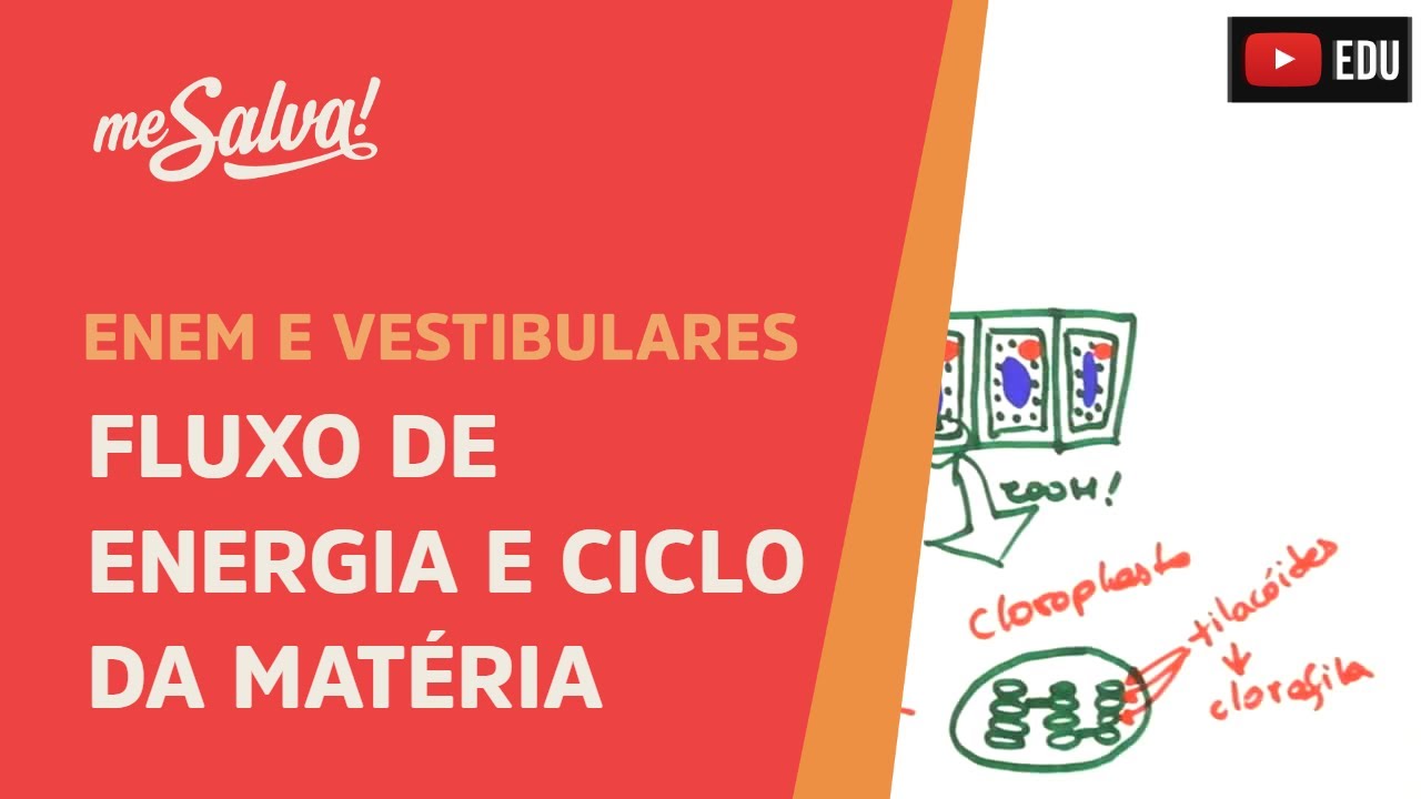 Me Salva! ECO12 - Ecologia - Fluxo de energia e ciclo da matéria