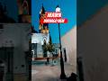 Heaven view #durango #viralvideo #trendingshorts #shihtzu #mexico #usa #youtubeshorts #video