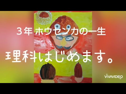 Leucaena leucocephalaについて詳しく解説