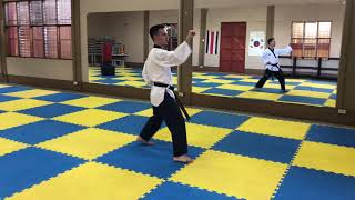 Sexta Forma - Taekwondo poomsae Taegeuk iuk Yang