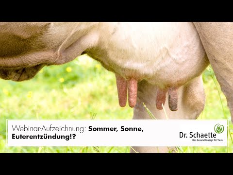 , title : 'Webinar-Aufzeichnung: Sommer, Sonne, Euterentzündung!?'