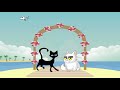 Senor Don Gato