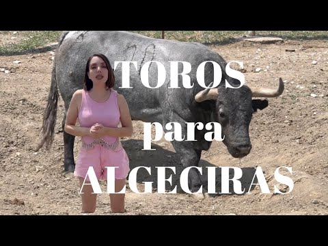 TOROS VICTORINOS para Corrida de Toros en Algeciras(Manuel Escribano, Antonio Ferrera y M.A.Pacheco)