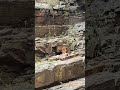Tirumala Sesha Tertham
