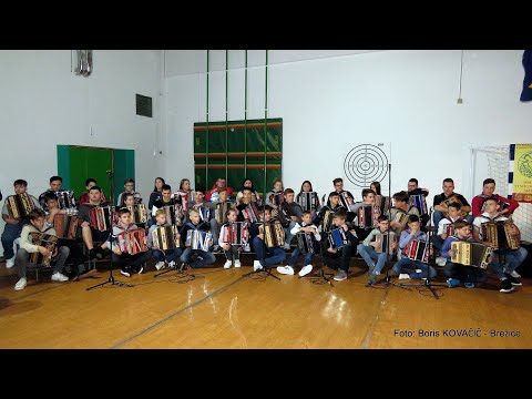 Ansambel Slovenski zvoki, harmonikarji Tonija Sotoška in Boštjana Povšeta -  V mladi družbi (v živo)