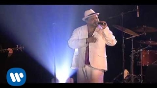 Aquellas Pequeñas Cosas Lyrics English Translation