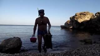 Как поймать мидии в черном море