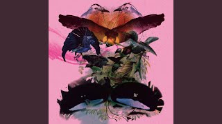 Paradisea