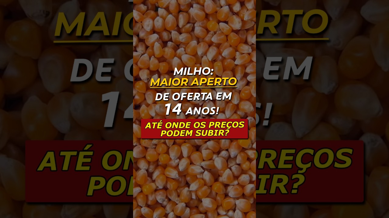 MILHO: MAIOR APERTO DE OFERTA EM 14 ANOS! ATÉ ONDE OS PREÇOS PODEM SUBIR?
