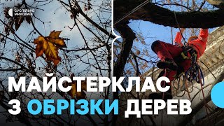 Мастер-класс по обрезке деревьев провели коммунальщикам в Николаеве
