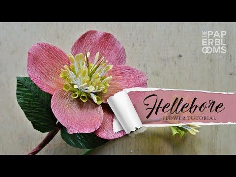 How to Make Crepe Paper Hellebore Center