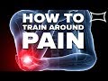 How To Train Around Pain | Mark Bell & Jesse Burdick Talk Exercise Variation | Power Bite