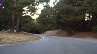 LVISBF 10/4/09 Salamander Part 2