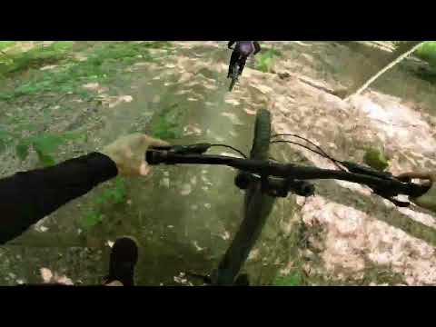 Wildhog MOUNTAINBIKE Flowtrail STROMBERG 2023  GANZE STRECKE-ALLE FEATURES-felix döring