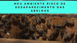 Miniatura do vídeo