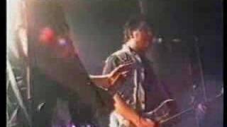 The Lurkers - Ain't got a clue