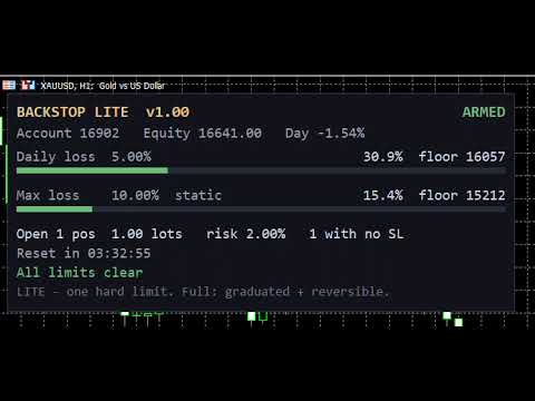 Video Backstop Daily Loss Limiter