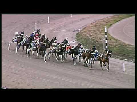 Trotto 21/02/2020 - 6ª corsa