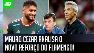 ‘Eu acho que no Flamengo ele vai ser…’: Mauro Cezar analisa o novo reforço do Mengão