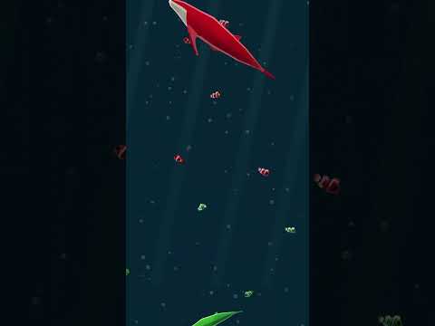 BTCfish video thumbnail