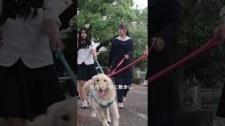 スクールドッグがはぐくむ子どもたちとの絆　全国に広がる学校犬