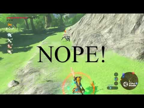 I’m Confused 🤷‍♂️. Botw glitches