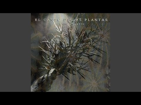 Canto al Cielo Divino