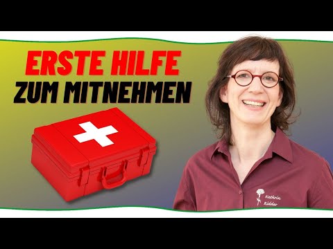 Dieses Multitalent der Homöopathie gehört in jeden Haushalt - Arnica