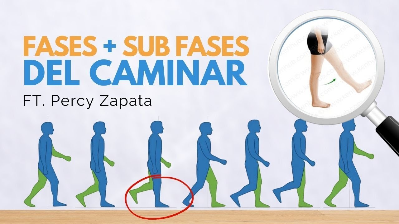 Todas las FASES del CAMINAR/MARCHA - Rehabilitación post ACV