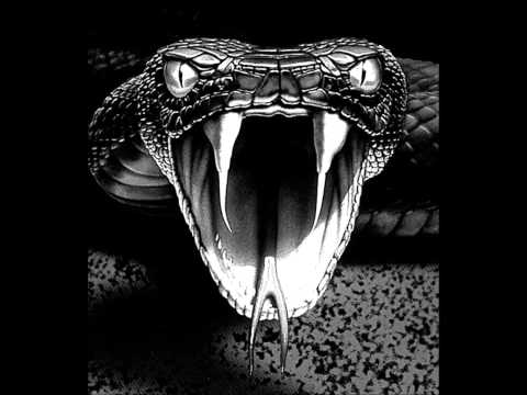 VIPER - Cai Diferite (ALBUM - LA INCEPUT DE DRUM 2014)