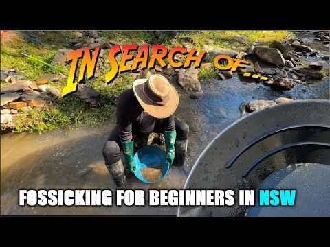 Fossicking For Beginners in NSW