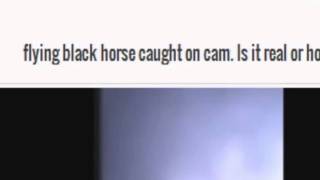 A mysterious black horse was spotted flying Saudi Arabia Rev 6