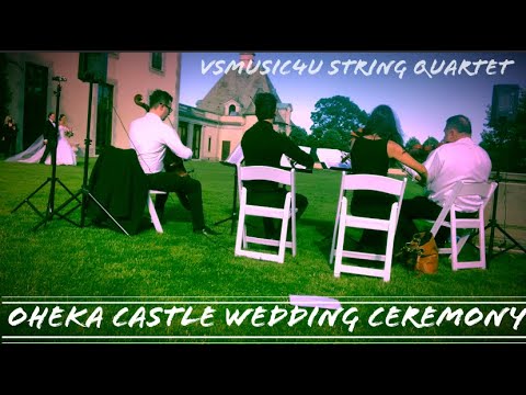Promotional video thumbnail 11 for VSmusic4u Wedding & Event Musicians