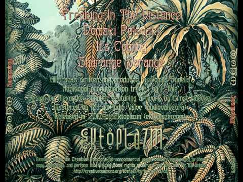 04 DoHm - Sharange Varange