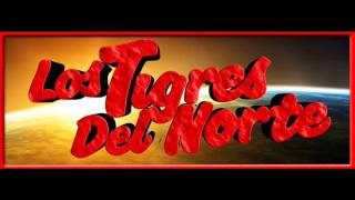 Las Pobres Rosas-Los Tigres del Norte