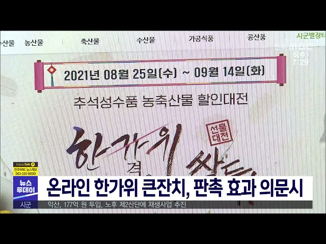 온라인 한가위 큰잔치, 판촉 효과 의문시