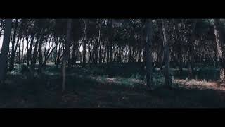 Last Dinosaurs - Alps (subtitulado)