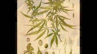 tribute to augustus pablo