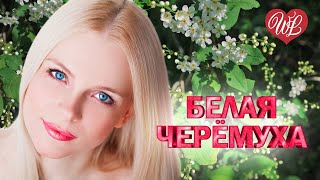БЕЛАЯ ЧЕРЕМУХА ♥ МЕЛОДИИ ВЕСНЫ ♥ КРАСИВЫЕ ПЕСНИ ПРО ЛЮБОВЬ ♥ МУЗЫКА ЛЮБВИ WLV ♥ LOVE STORY ♥
