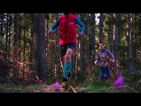 Predeal Forest Run Trailer