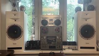 MeloDavid P12S 12”