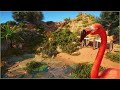 Relaxing American Flamingo Habitat In The Desert Majah Zoo Planet Zoo Speedbuild