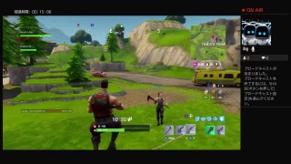 fortnight