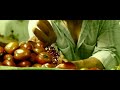 Hafta Band John Abraham Best Whatsapp Status Sort Video