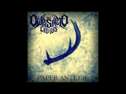 As Owls Sing To Crows - Paper Antler