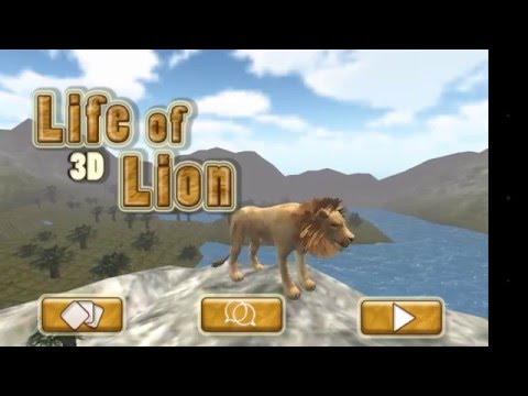 Life of A Lion 3D Video