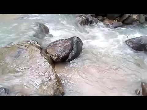 Imágenes y paisajes de Colombia departamento del Tolima Reserva ecológica Santafé de los Guaduales